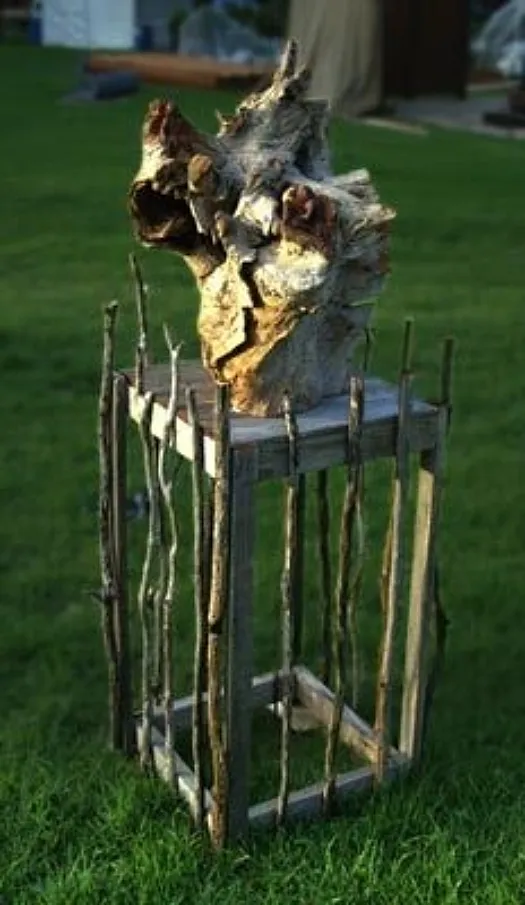 Nature's Children by Anthony Kim