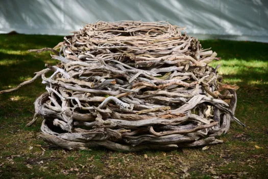 Nest II by Therese Coffey