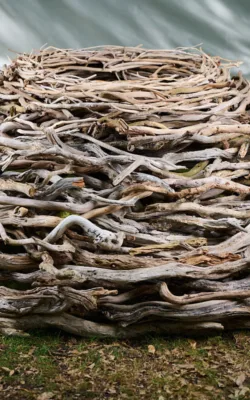 Nest II by Therese Coffey