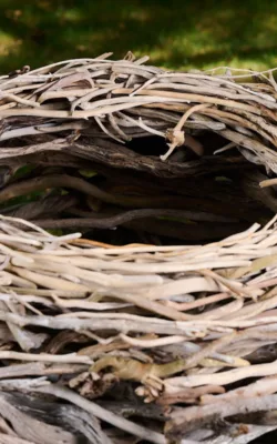 Nest II by Therese Coffey