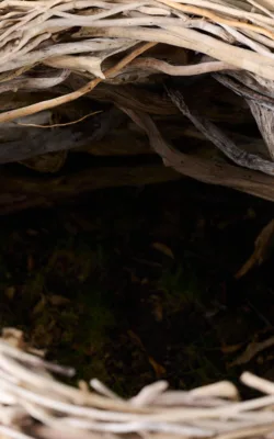 Nest II by Therese Coffey