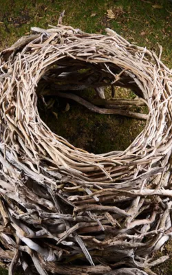 Nest II by Therese Coffey