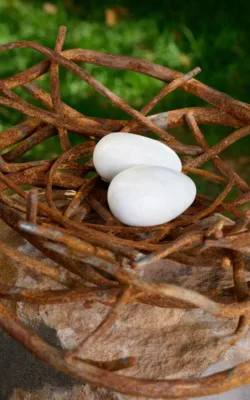 Nest in the Hills by Charlie Aquilina