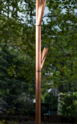 New Shoots by Michael Meszaros OAM