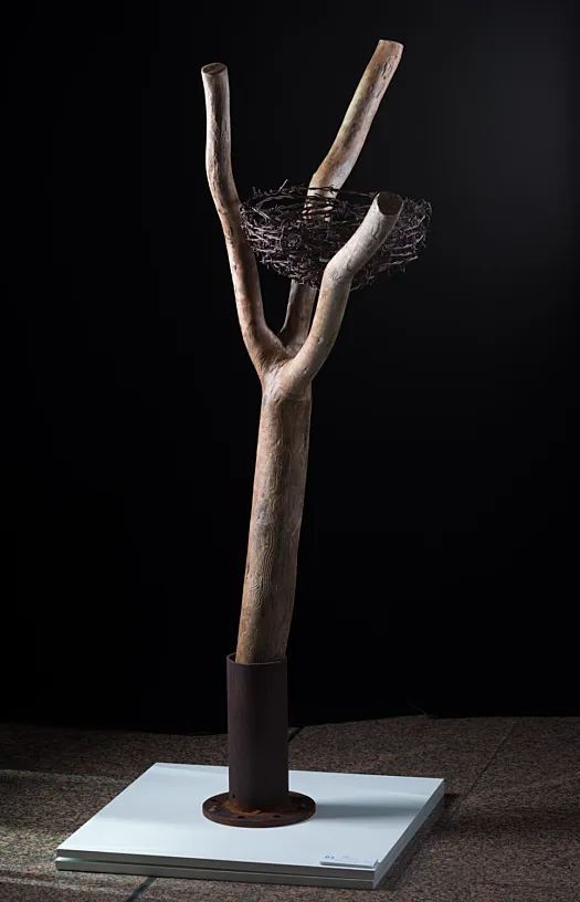 Nidus by Vicki Combridge