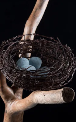 Nidus by Vicki Combridge