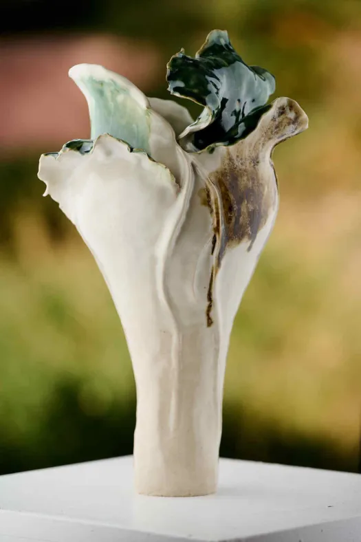 Night Bloom 1 by Bonnie Cruikshank