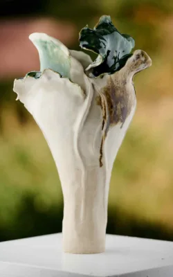 Night Bloom 1 by Bonnie Cruikshank