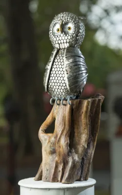 Night Owl by Lawrence Marshall