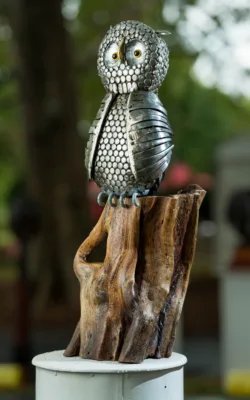 Night Owl by Lawrence Marshall