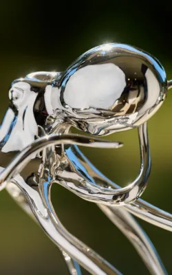 Octopus-Duo by Todd Lyndon Stuart