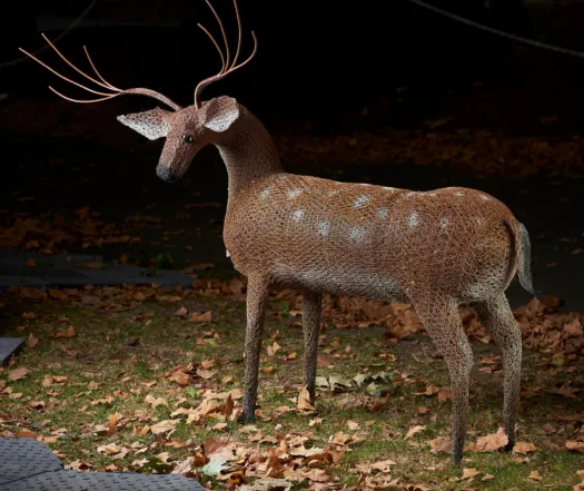 Oh Deer! by Vicki Combridge