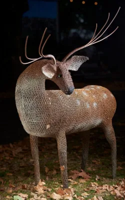 Oh Deer! by Vicki Combridge