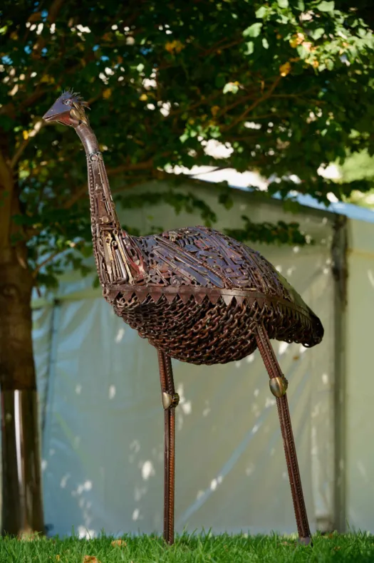 Old man emu by Damien Keirl