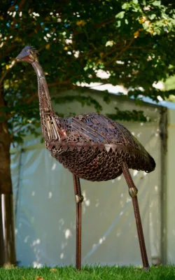 Old man emu by Damien Keirl