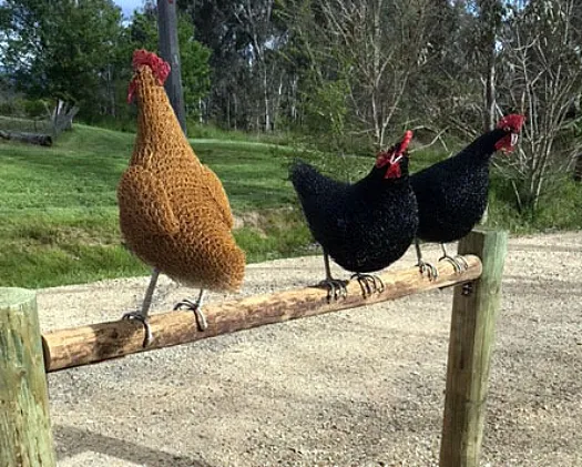 On the Fence by Vicki Combridge