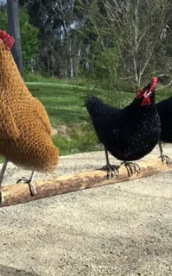 On the Fence by Vicki Combridge