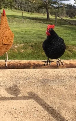 On the Fence by Vicki Combridge