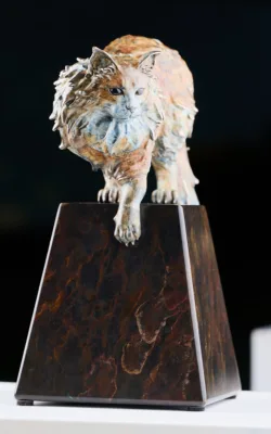 On the Threshold - Main Coon Cat by Jake Mikoda