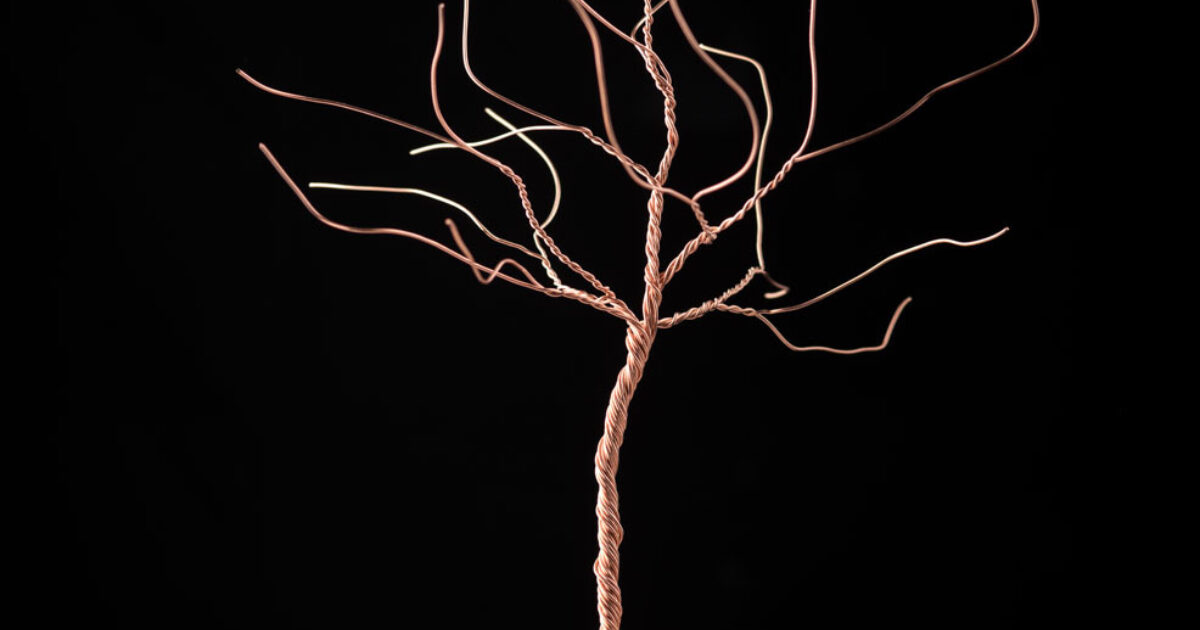 One Tree | Association of Sculptors of Victoria