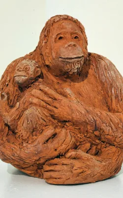 Orang-utan and baby by Damian Curtain