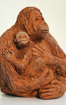 Orang-utan and baby by Damian Curtain