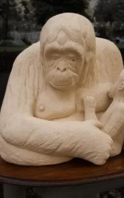 Orang-Utan by Mary Currin