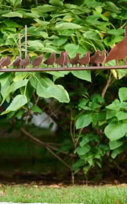 Out for a Stroll by David Doyle