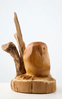 Owl by Harry Tyler