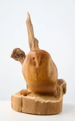 Owl by Harry Tyler
