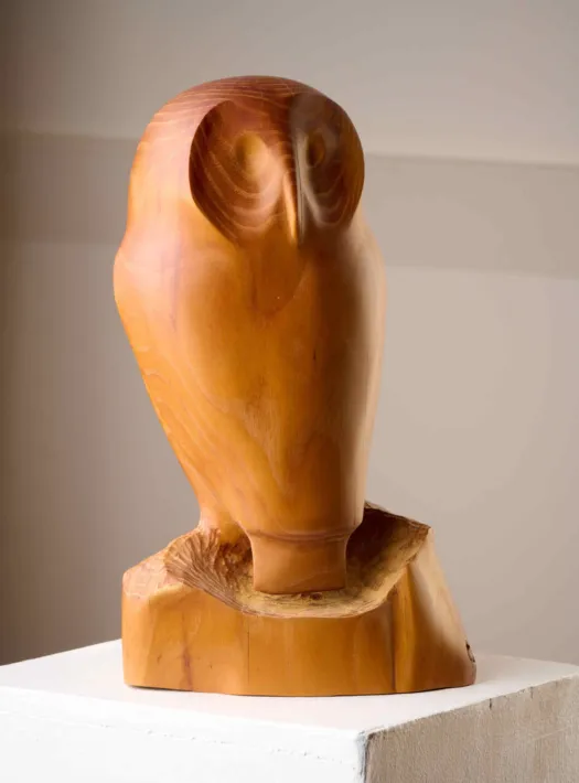 Owl by Harry Tyler