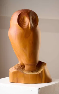 Owl by Harry Tyler