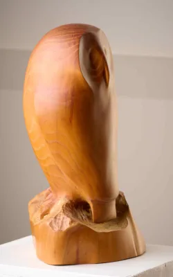 Owl by Harry Tyler