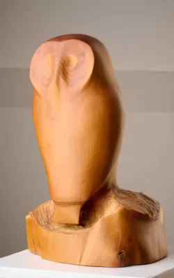 Owl by Harry Tyler