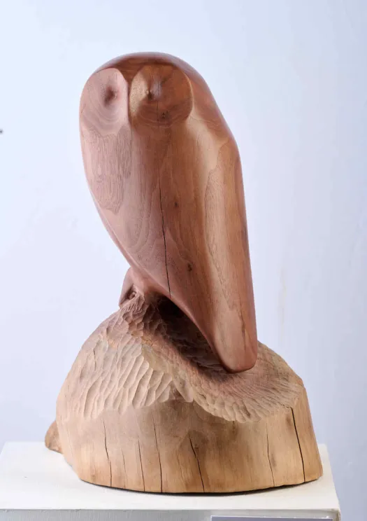 Owl by Harry Tyler