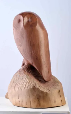Owl by Harry Tyler