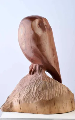 Owl by Harry Tyler