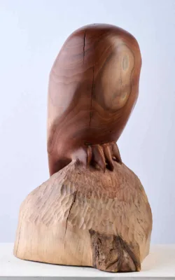 Owl by Harry Tyler