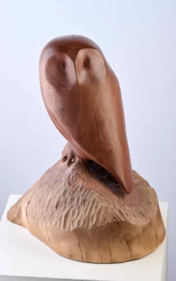 Owl by Harry Tyler