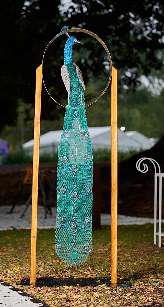 Pampered Peacock by Vicki Combridge