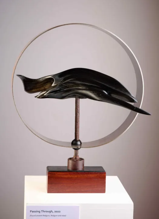 Passing Through by Aaron Jones