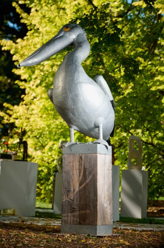 Pelican by Graham Duell