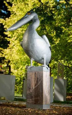 Pelican by Graham Duell