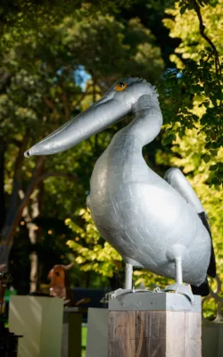 Pelican by Graham Duell