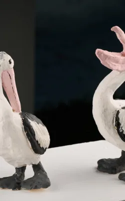 Pelicans by Damian Curtain