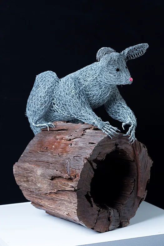 Percy Possum by Vicki Combridge