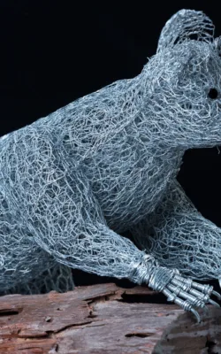 Percy Possum by Vicki Combridge