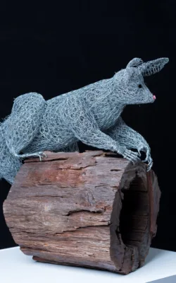 Percy Possum by Vicki Combridge