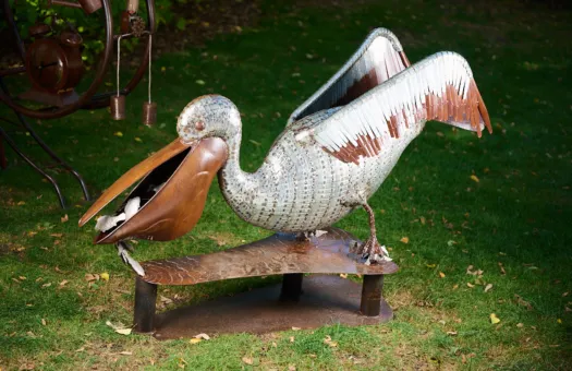 Pete the Pelican by Neil Findley