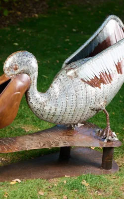 Pete the Pelican by Neil Findley